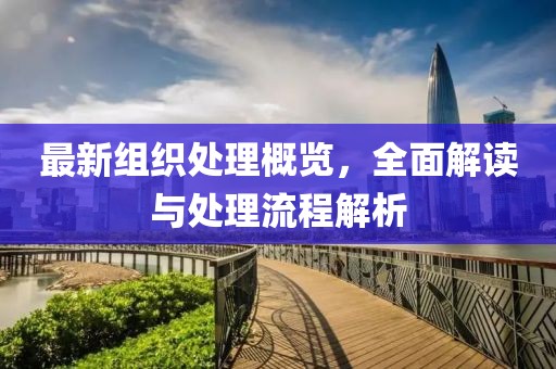 最新组织处理概览，全面解读与处理流程解析