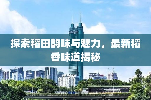 探索稻田韵味与魅力，最新稻香味道揭秘