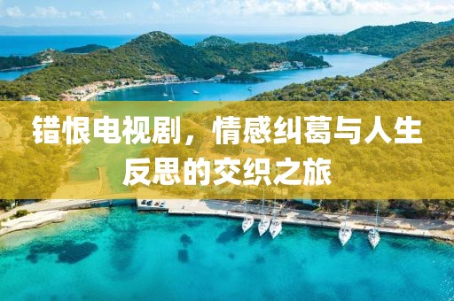 错恨电视剧，情感纠葛与人生反思的交织之旅