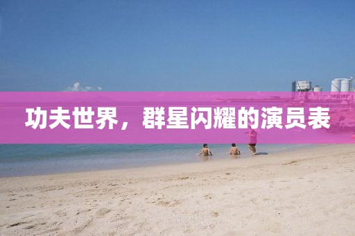 功夫世界，群星闪耀的演员表