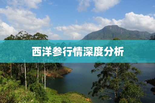 西洋参行情深度分析