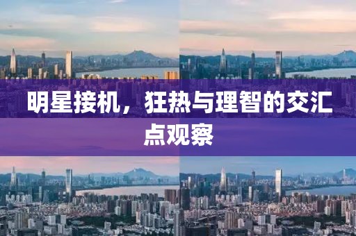 明星接机，狂热与理智的交汇点观察