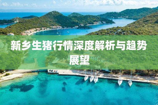 新乡生猪行情深度解析与趋势展望