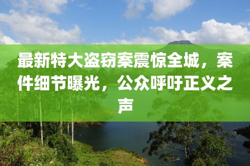 最新特大盗窃案震惊全城，案件细节曝光，公众呼吁正义之声