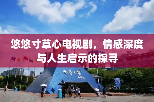 悠悠寸草心电视剧，情感深度与人生启示的探寻