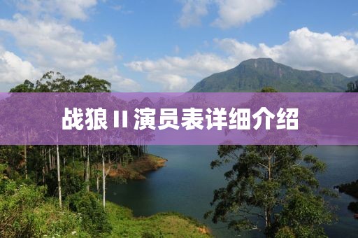 战狼Ⅱ演员表详细介绍