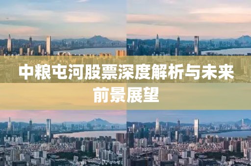 中粮屯河股票深度解析与未来前景展望