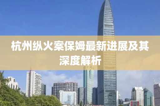 杭州纵火案保姆最新进展及其深度解析