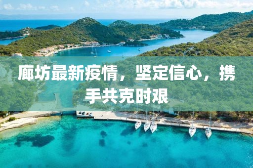 廊坊最新疫情，坚定信心，携手共克时艰