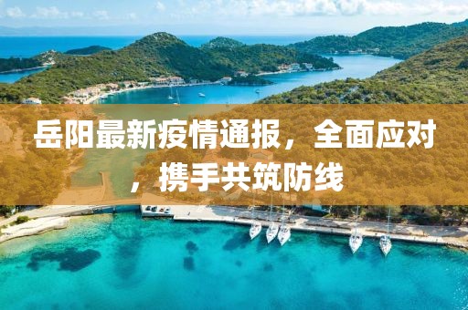 岳阳最新疫情通报，全面应对，携手共筑防线