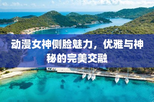 动漫女神侧脸魅力，优雅与神秘的完美交融