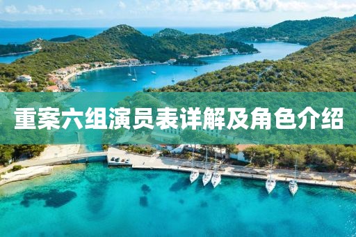 重案六组演员表详解及角色介绍