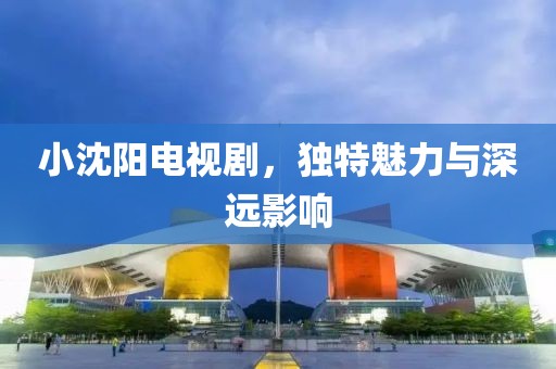 小沈阳电视剧，独特魅力与深远影响