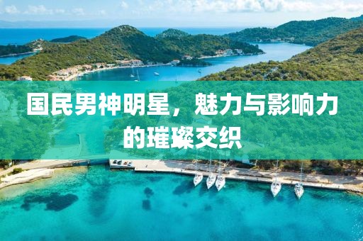 国民男神明星，魅力与影响力的璀璨交织