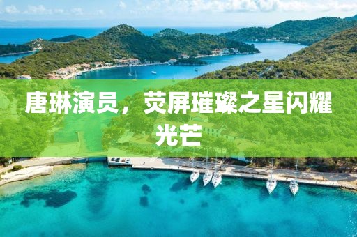 唐琳演员，荧屏璀璨之星闪耀光芒