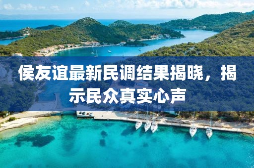 侯友谊最新民调结果揭晓，揭示民众真实心声