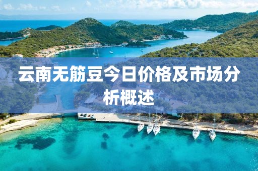 云南无筋豆今日价格及市场分析概述