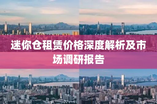 迷你仓租赁价格深度解析及市场调研报告