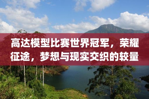 高达模型比赛世界冠军，荣耀征途，梦想与现实交织的较量