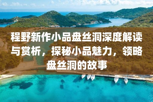 程野新作小品盘丝洞深度解读与赏析，探秘小品魅力，领略盘丝洞的故事
