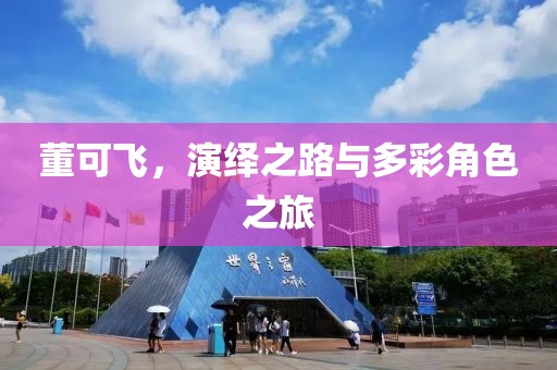 董可飞，演绎之路与多彩角色之旅