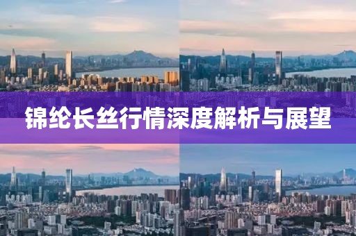 锦纶长丝行情深度解析与展望