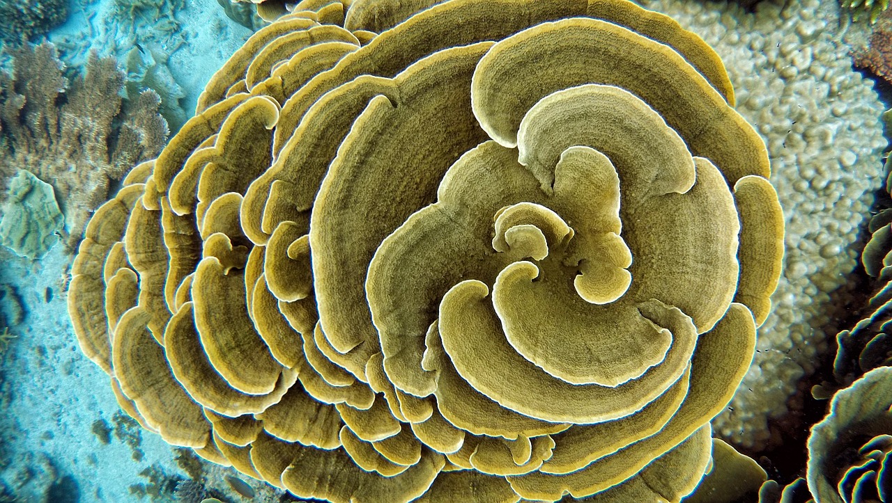 琅岐香海世界最新房价动态及深度解析，前景展望与最新趋势分析