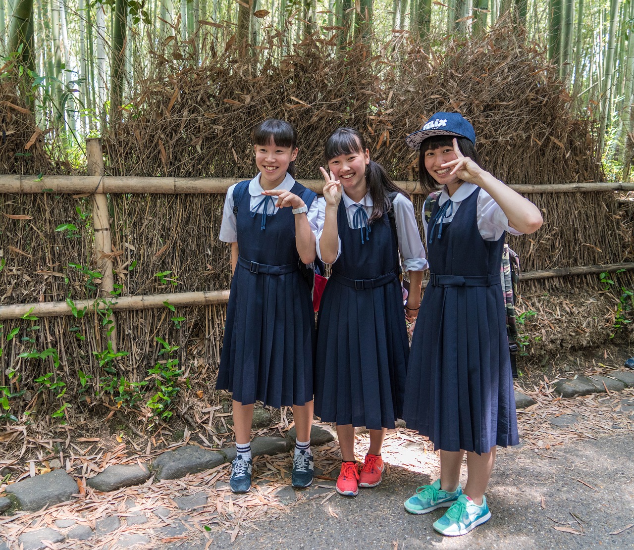 探索与热爱，我的偶像明星之旅
