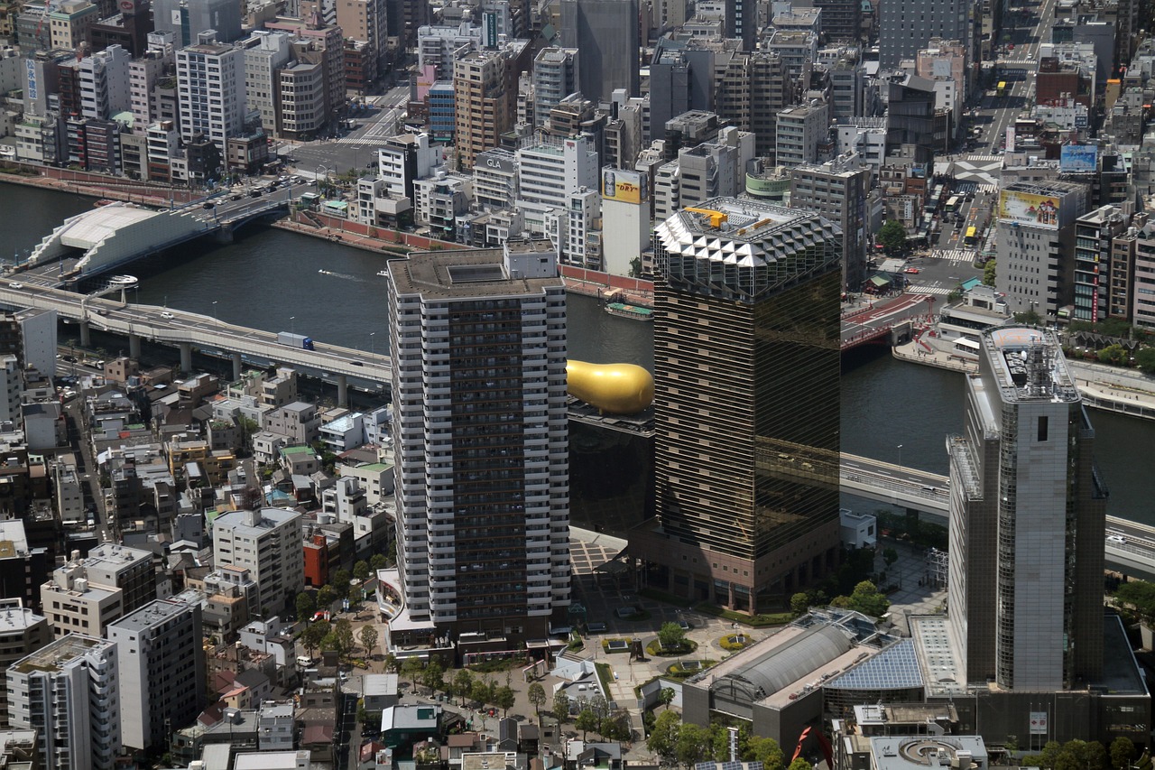 2025年2月 第419页