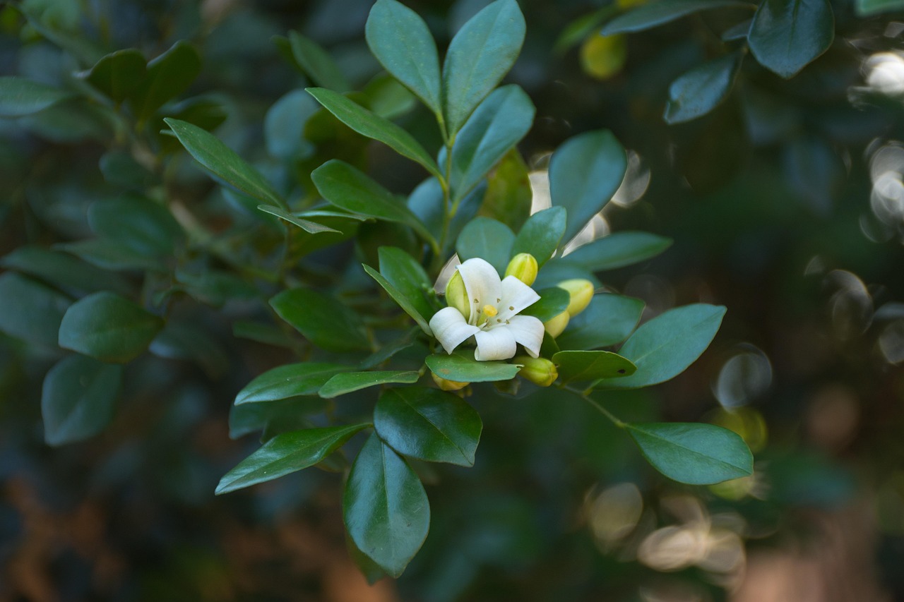 奶茶 第15页