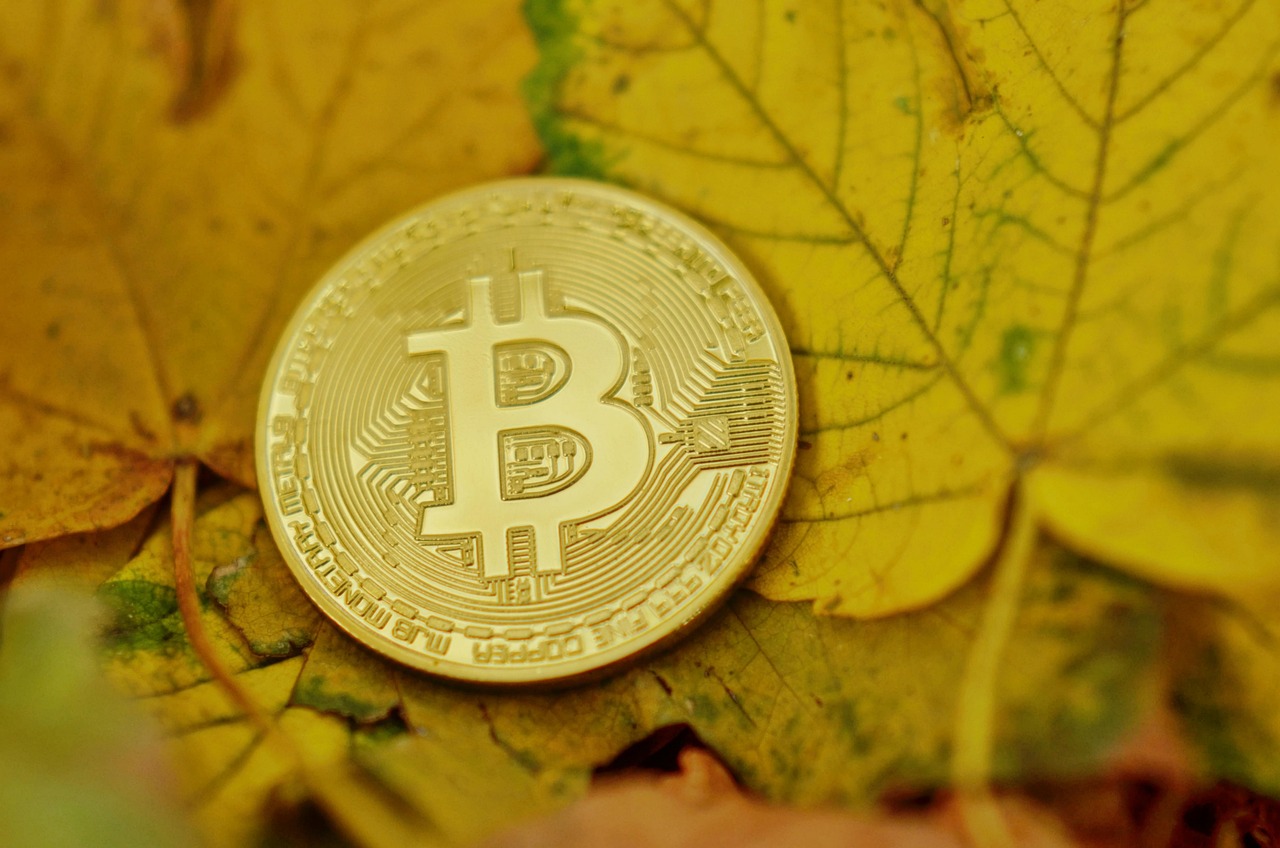 谷歌股票背后的投资巨头故事与未来展望