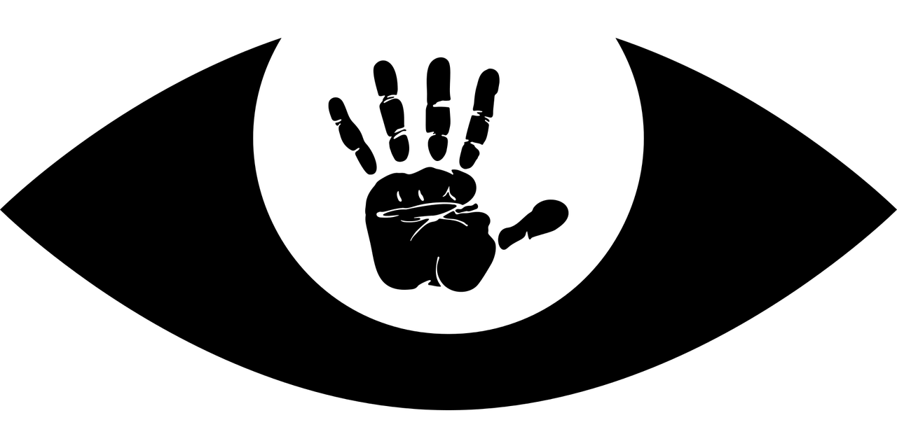 东丽最新资讯概览，掌握最新动态与资讯信息